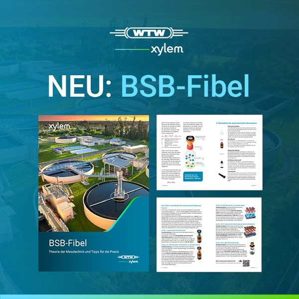 Neue BSB-Fibel: Theorie der Messtechnik und praktische Tipps