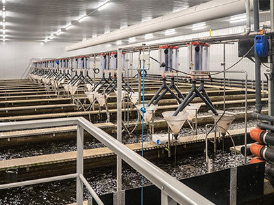 aquaculture from Daenmark