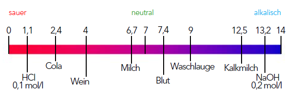 Bedeutung des pH-Wertes im Alltag