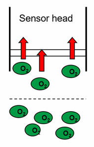 Simplified representation of the flow direction of a galvanic oxygen sensor