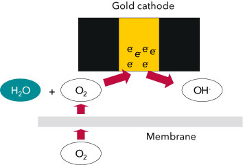 Dissolved Oxygen: the principle of electrode reactions